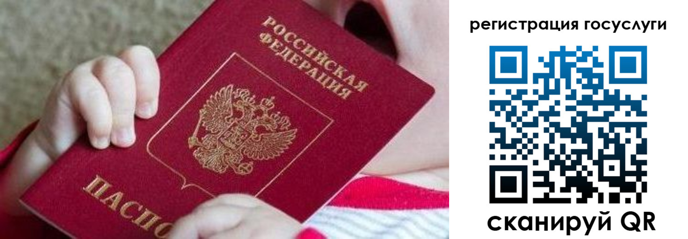 регистрация для школы в Краснодаре
